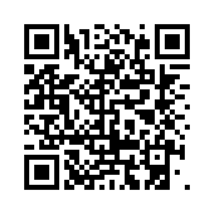 QR diorama
