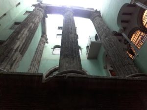 IMG_20151030_131911